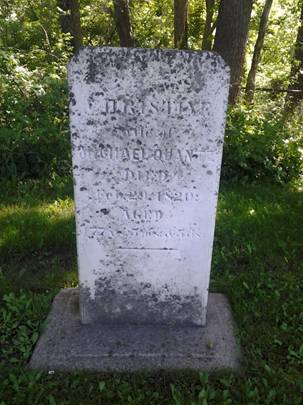 Quantz - Buttonville - 20130626_104749 (480x640).jpg