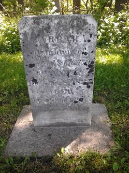 Quantz - Buttonville - 20130626_104819 (480x640).jpg
