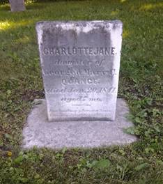 Quantz - Buttonville - 20130626_105039 (480x640).jpg